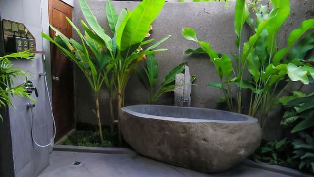 Luxury Villa, 1 Bedroom