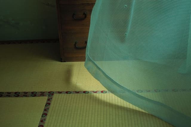 Japanese Style Room with Double bed, Non Smoking