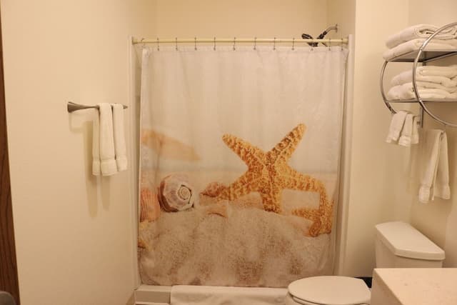 Deluxe Single Room, 1 King Bed, Balcony