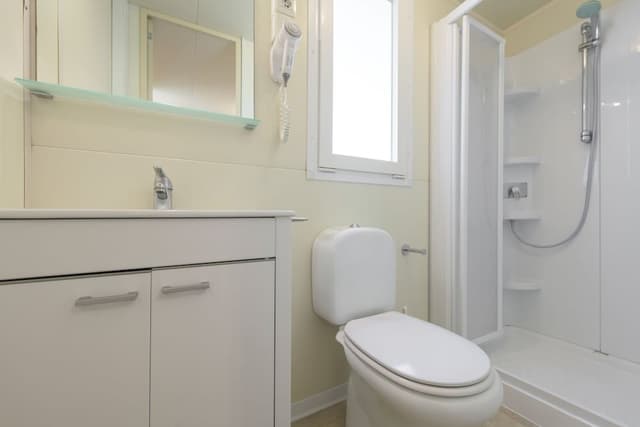 Standard Mobile Home Plus