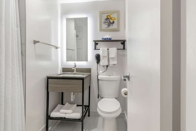 Suite, 1 King Bed with Sofa bed, Non Smoking