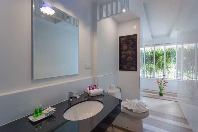Deluxe Pool Access King or Twin Room