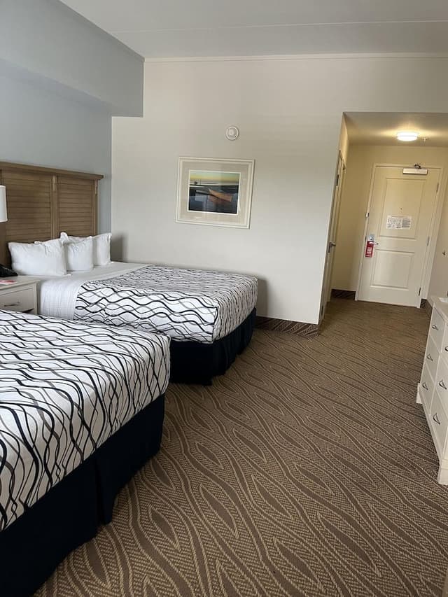 Standard Double Room, Non Smoking