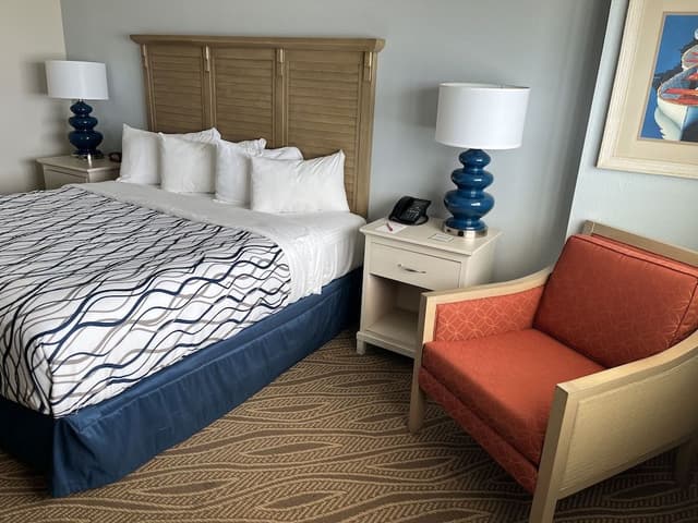 Premium Room, 1 King Bed, Smoking