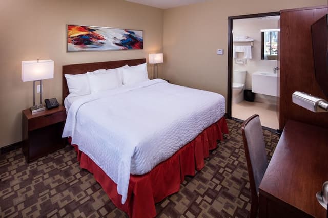 Suite, 1 King Bed