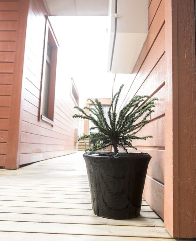 Business Apartment