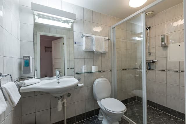 Basic Triple Room