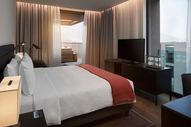 SUPERIOR ROOFTOP SUITE