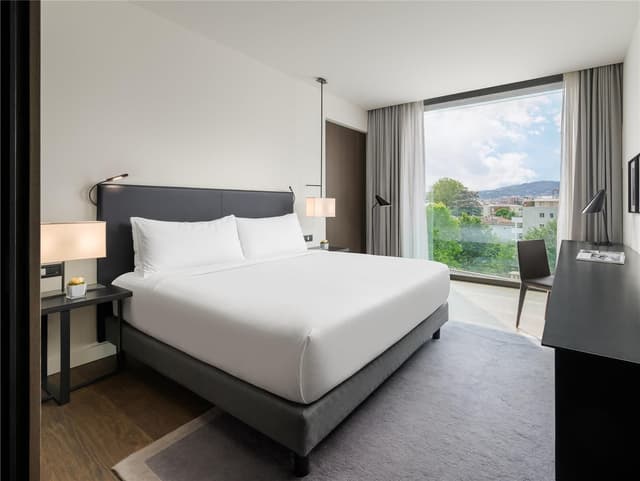 KING DELUXE ROOM WITH CITY VIEW