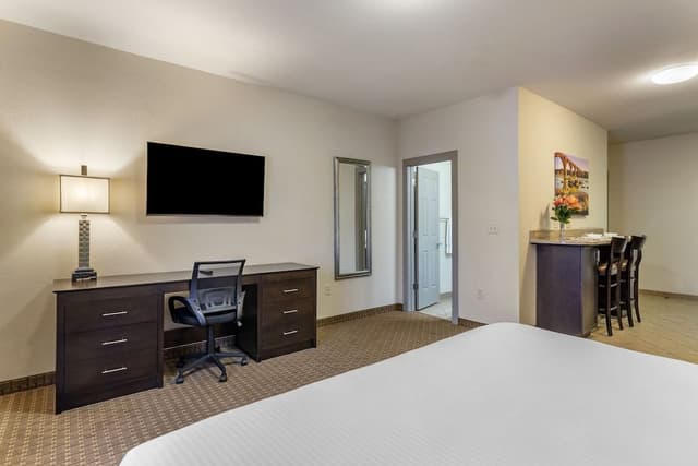 Suite, 1 Bedroom, Accessible (Accessible Suite with Roll-In Shower)