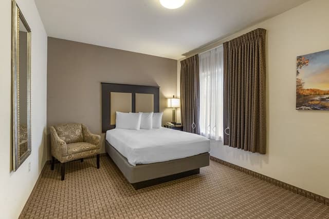 Suite, 1 Bedroom, Accessible (Accessible Suite with Roll-In Shower)