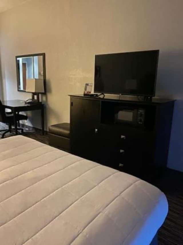 Room, 1 King Bed, Jetted Tub, Lakeside (1st Floor)
