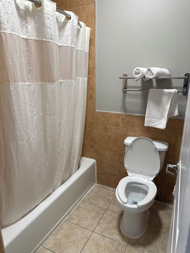 Basic Room, 1 King Bed, Non Smoking