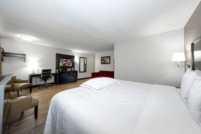 Premium Room, 1 King Bed (Upgraded Bedding & Snack, Smoke Free)