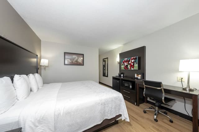 Superior Room, 1 King Bed (First Floor, Smoke Free)
