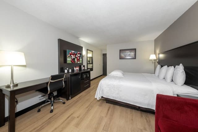 Premium Room, 1 King Bed (Upgraded Bedding & Snack, Smoke Free)