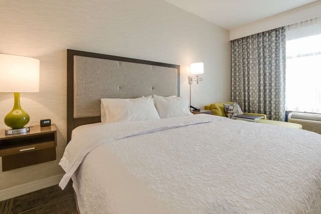 Room, 1 King Bed, Non Smoking, Refrigerator
