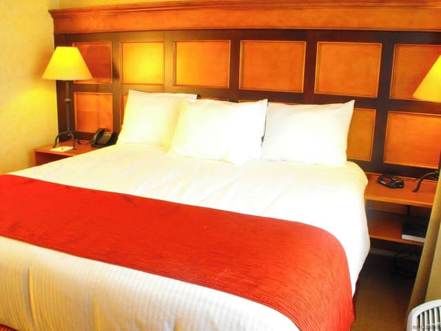 Deluxe Room, 1 King Bed (Business Suite)