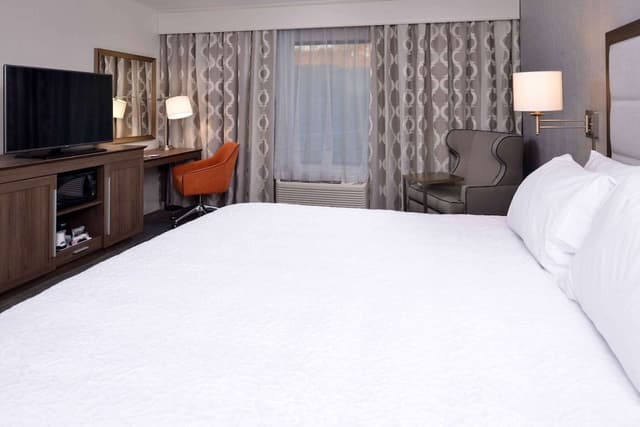 Room, 1 King Bed, Accessible, Non Smoking