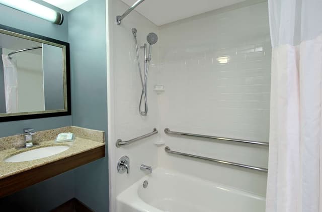 1 KING MOBILITY/HEARING ACCESSIBLE W/ BATHTUB