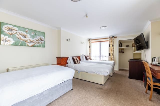 Deluxe Triple Room
