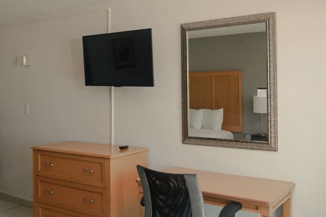 Standard Room, 1 King Bed with Sofa bed