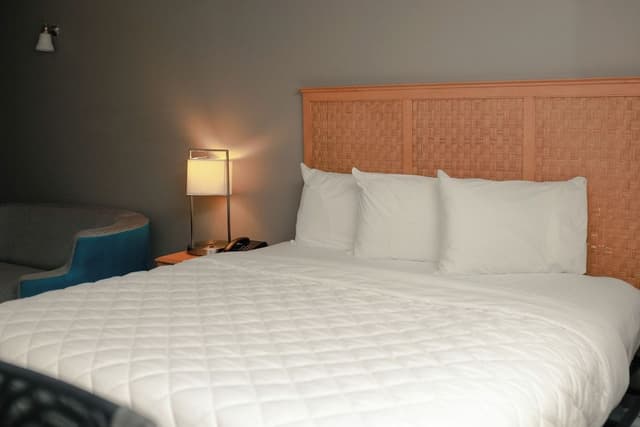 Standard Room, 1 King Bed with Sofa bed