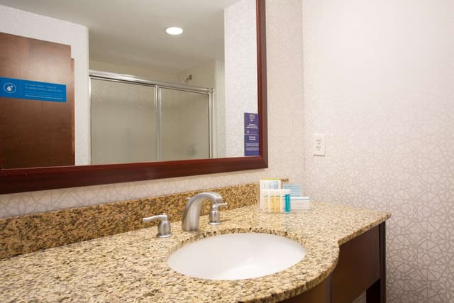 1 KING DELUXE RM W/WHIRLPOOL TUB NONSMOK
