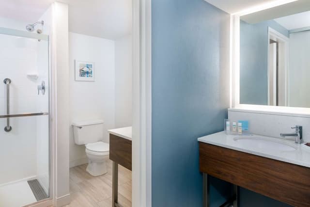 Room, 1 King Bed with Sofa bed, Non Smoking (Shower Only)