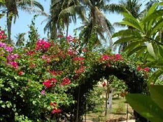 Vimarn Samut Resort Vimarn Samut Resort