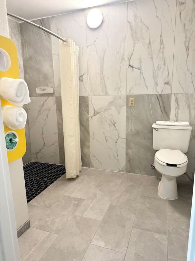 Room, 1 King Bed, Mobility Accessible, Non Smoking (Roll-in Shower)