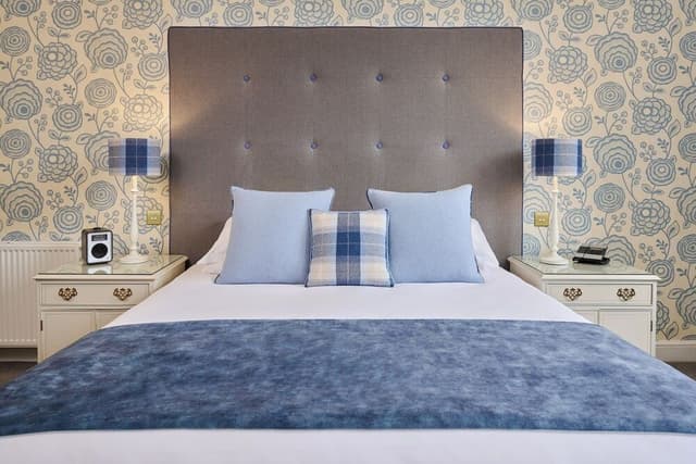 Deluxe Room, 1 King Bed, Park View