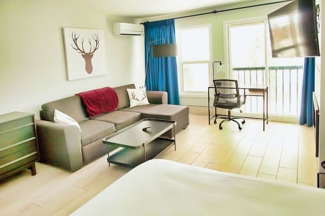 Premium Studio, 1 Queen Bed with Sofa bed, Fireplace, Lake View