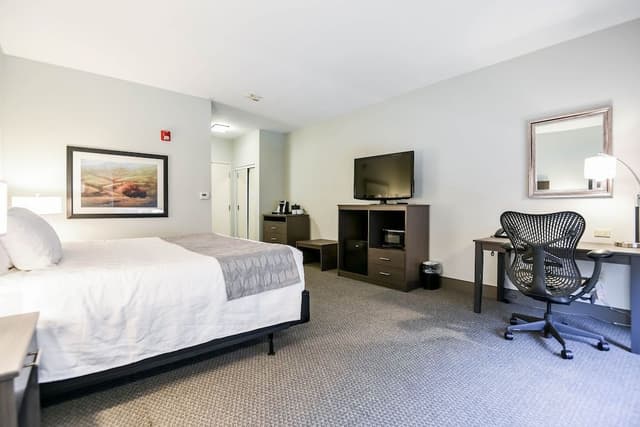 Standard Room, 1 King Bed, Accessible, Non Smoking