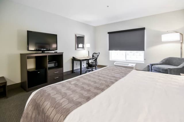 Standard Room, 1 King Bed, Accessible, Non Smoking