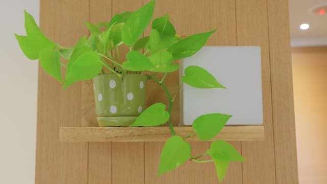 Standard Double Room (02)