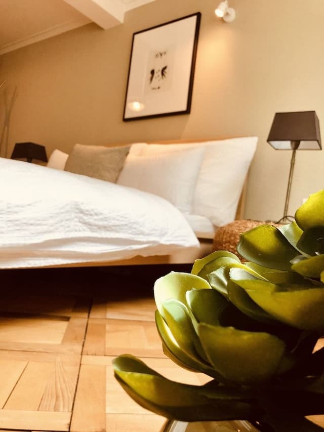 City Apartment, 1 Queen Bed