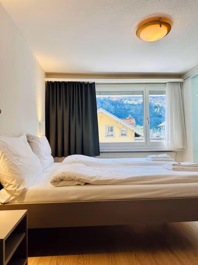 Economy Double or Twin Room, Mountain View