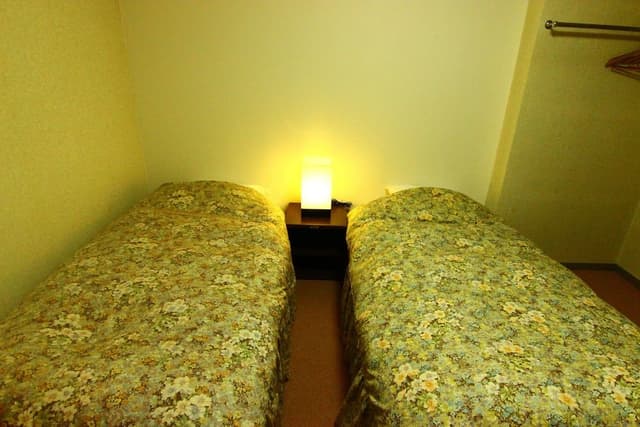 Deluxe Twin Room, Private Bathroom