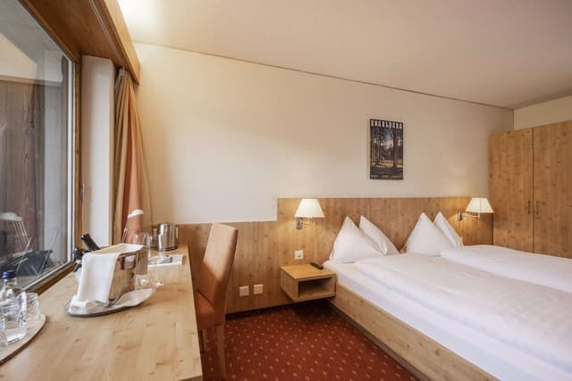 Standard Double Room, Balcony, Mountain View