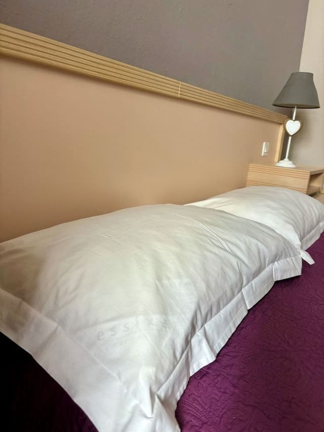 Basic Triple Room