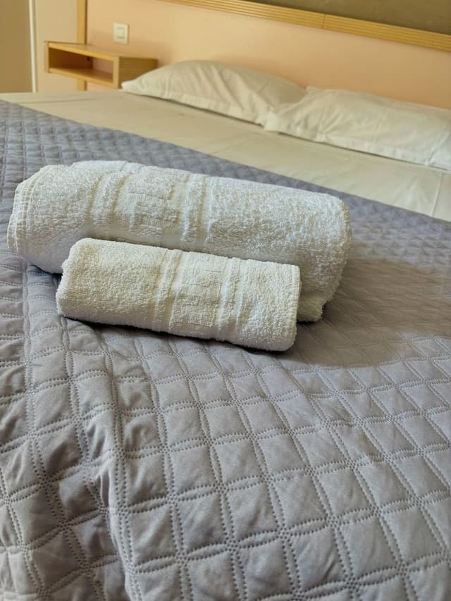 Basic Triple Room