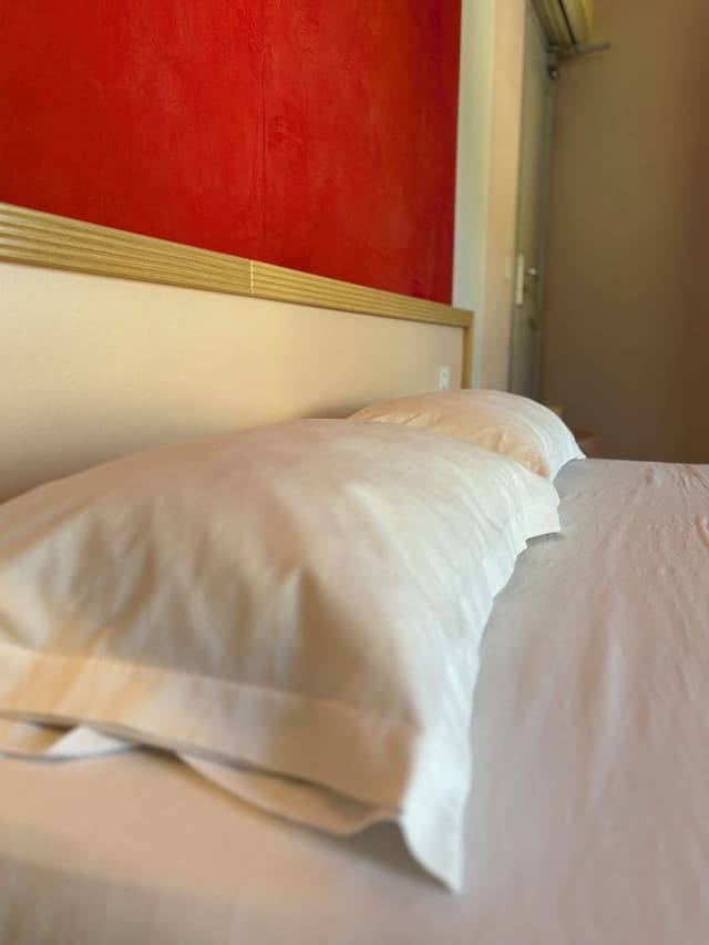 Basic Triple Room