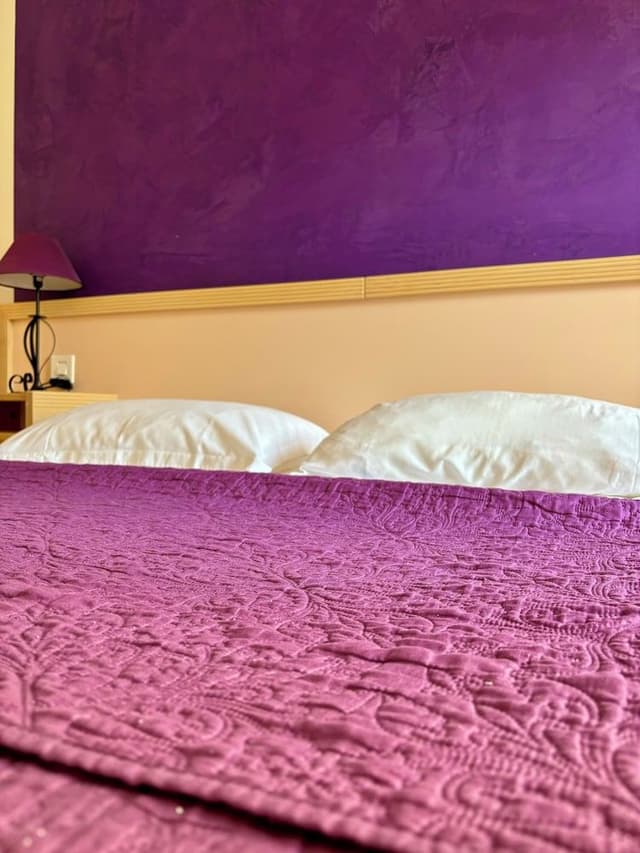 Basic Triple Room