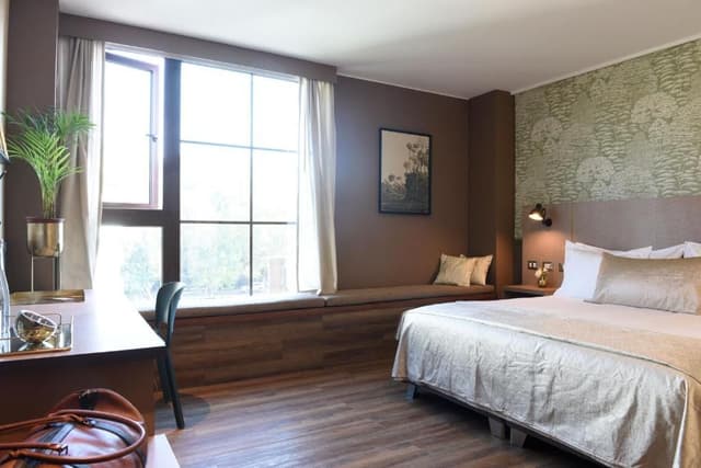King Room