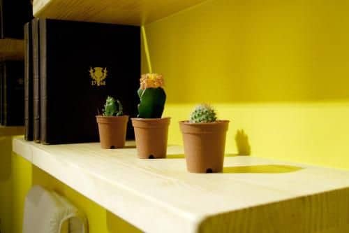 Seoul Dalbit Dongdaemun Guesthouse Seoul Dalbit Dongdaemun Guesthouse
