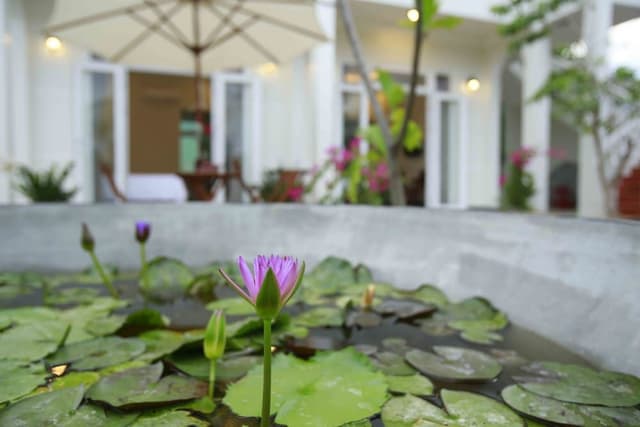 Superior Twin Room, Pool Access, Garden View