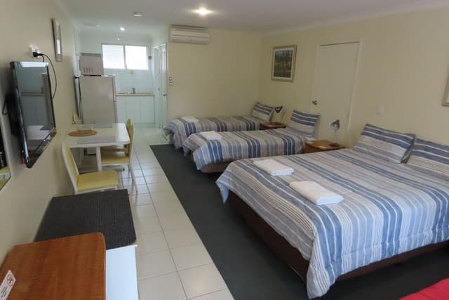 Deluxe Studio Apartment (1 Queen and 2 Single Beds)