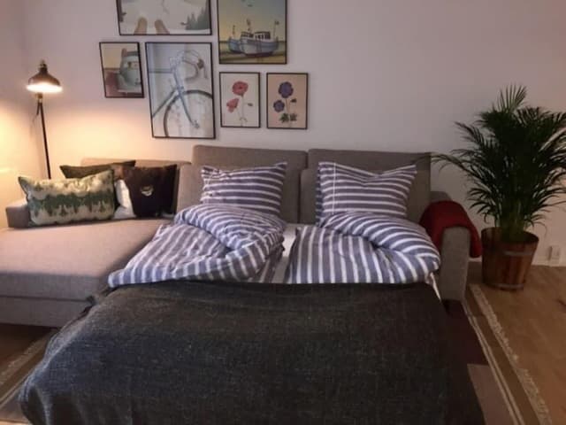 Deluxe Apartment