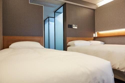 Deluxe Twin - Room Only